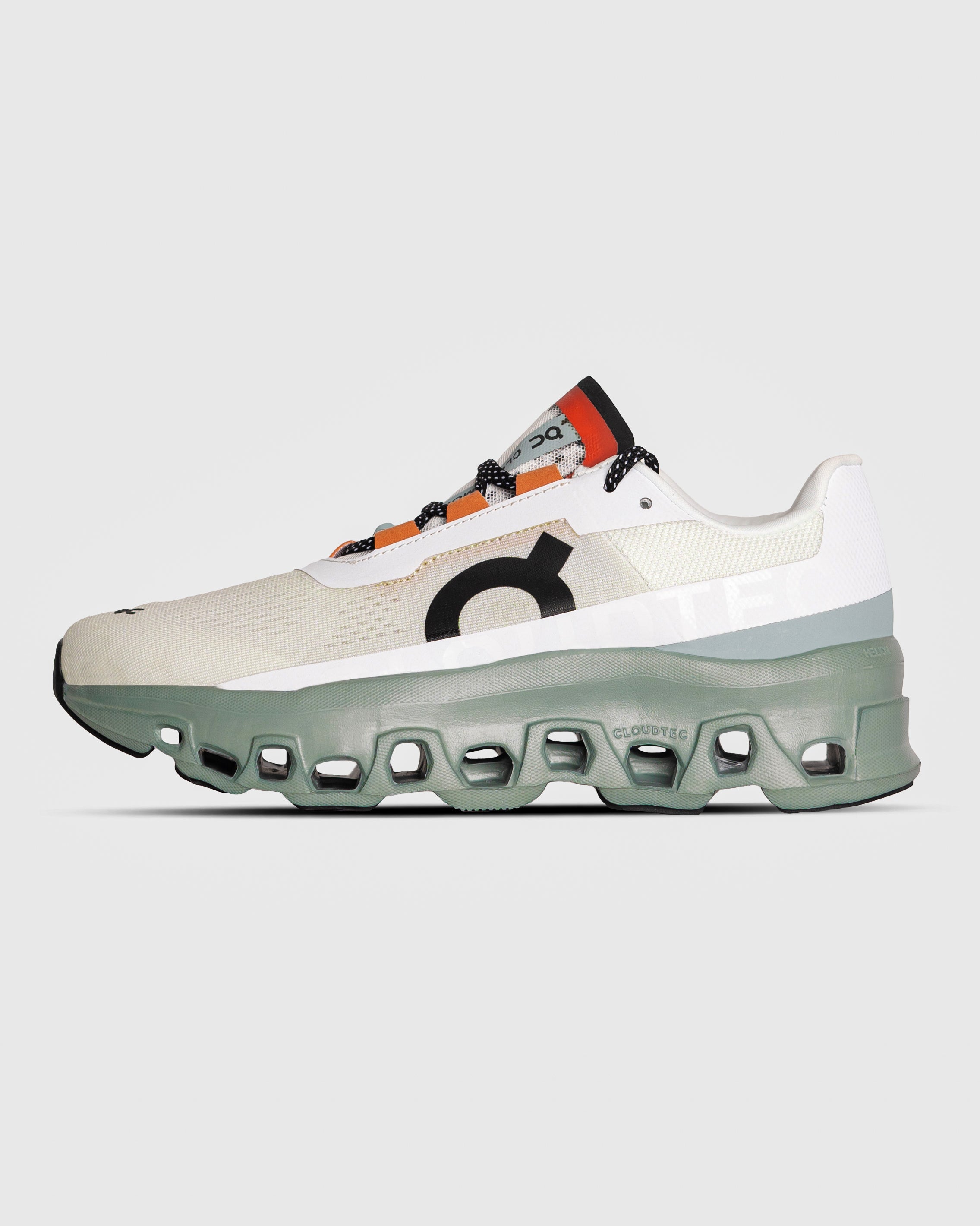 ON CLOUDMONSTER SHOES